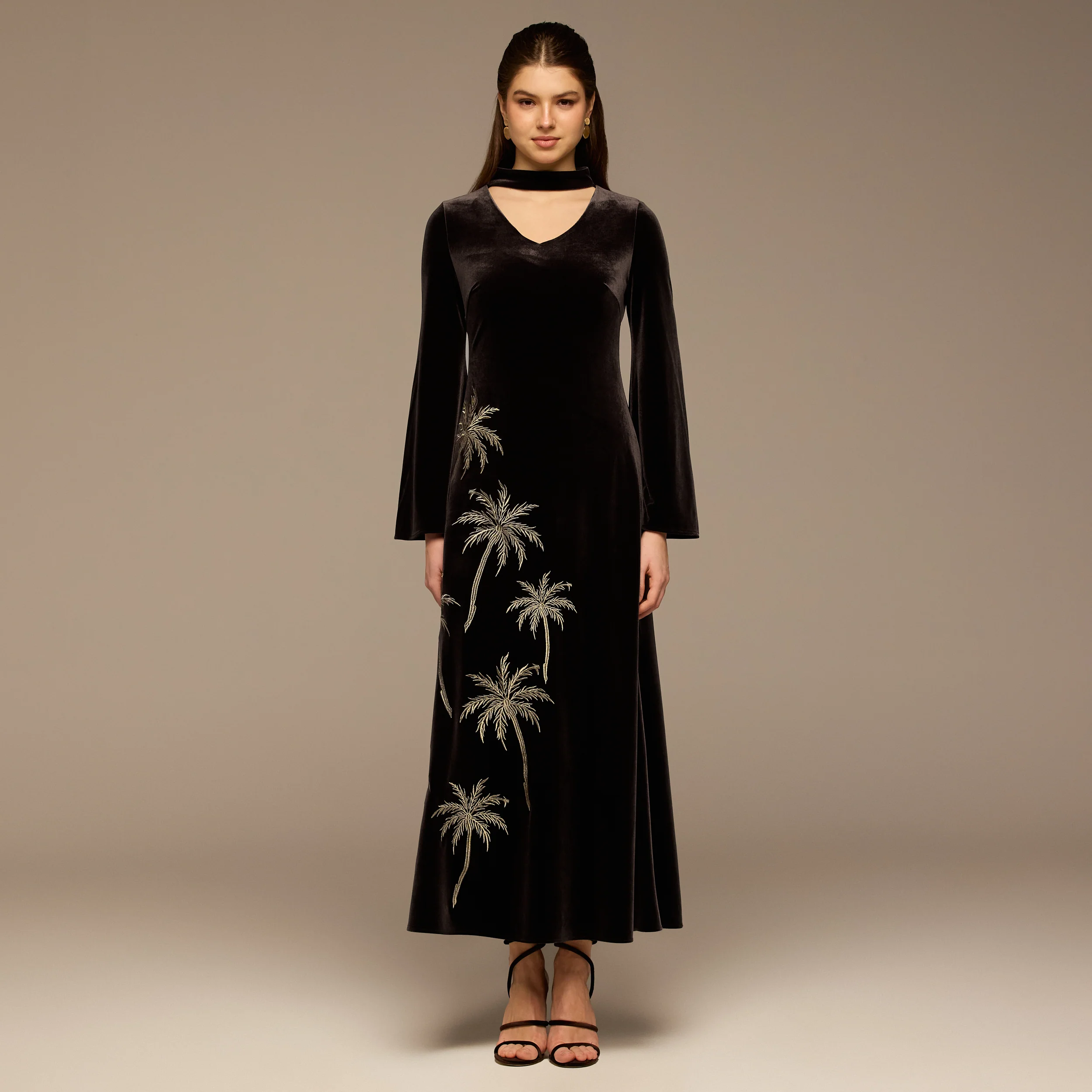 Brown Embroidered Velvet Maxi Dress